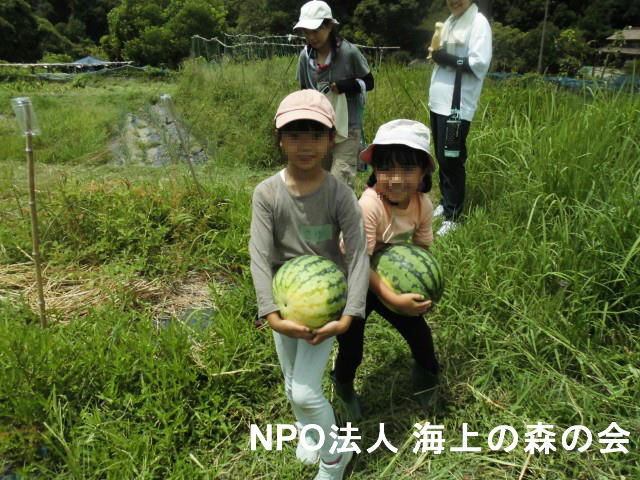 プライバシー保護のため、解像度を落として表示しています。